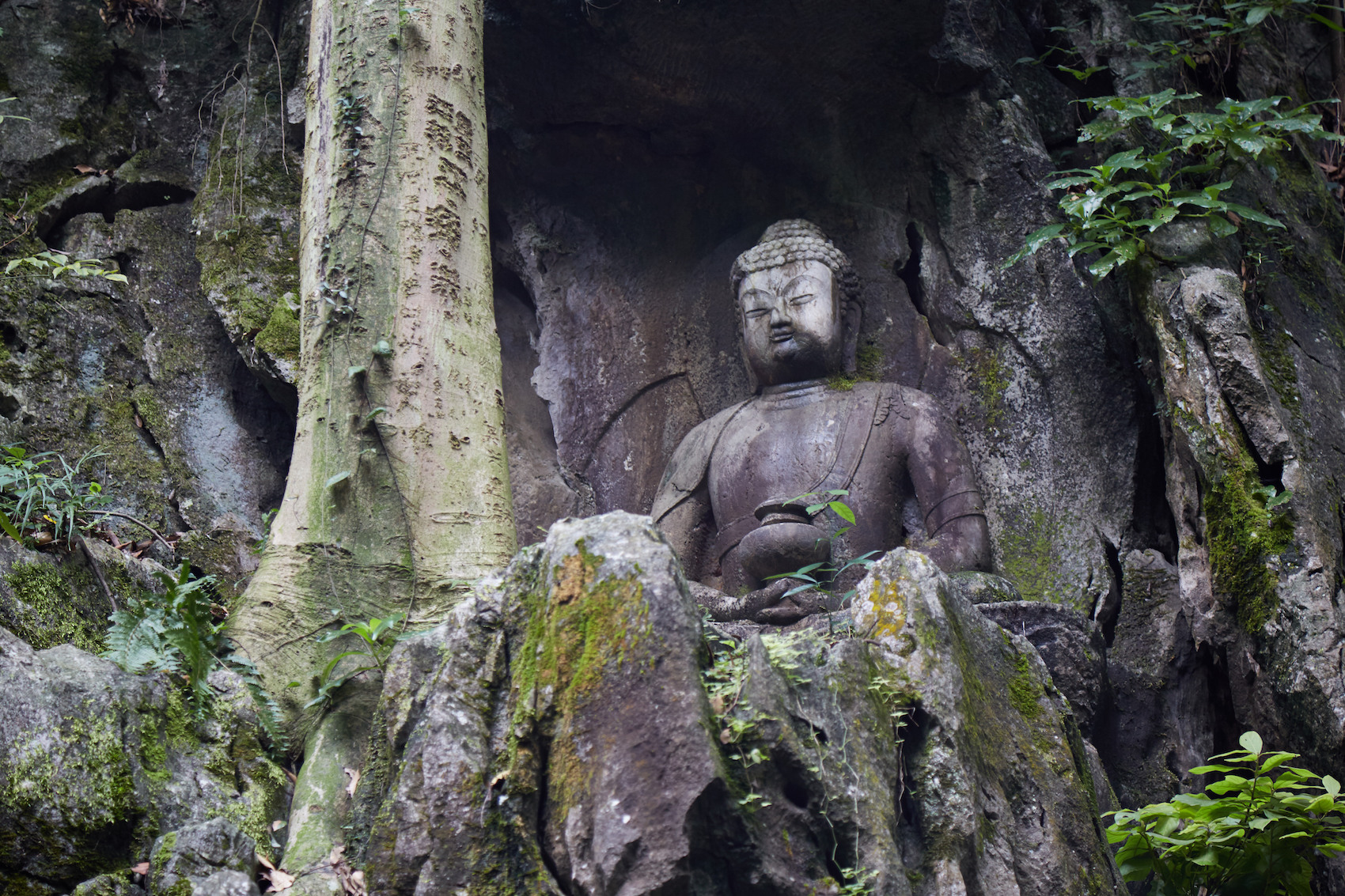 Fei Lai Peak Buddha