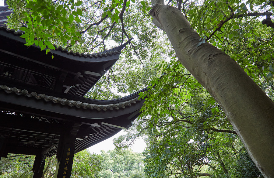 Pagoda and Tree