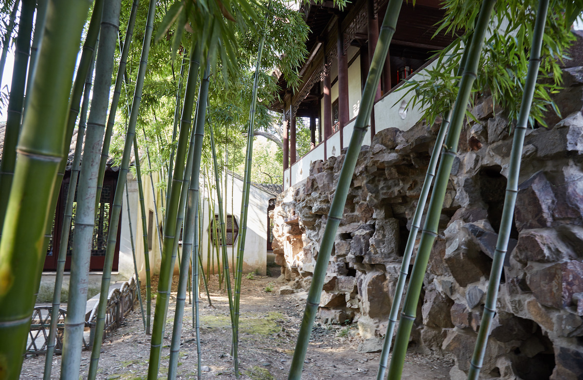 Canglang Garden Bamboo