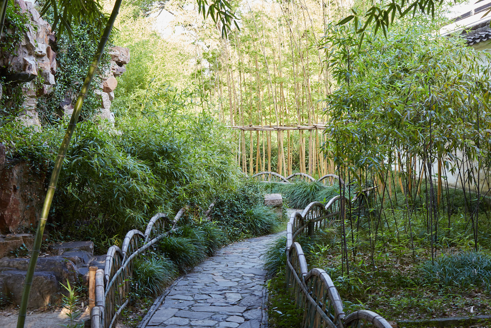 Bamboo Pathway Suzhou