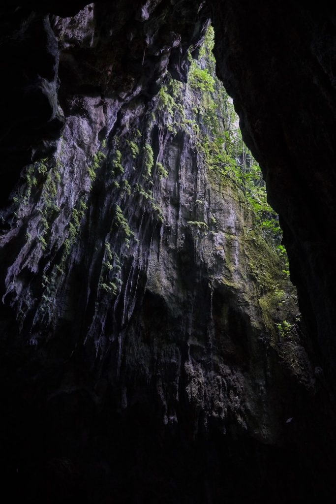 Mulu National Park Clearwater Cave