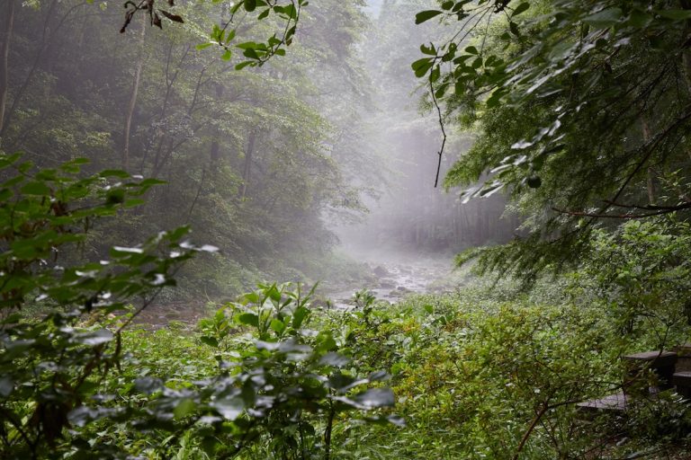 Zhangjiajie National Forest Park (3 of 3): Hiking Huangshi Village ...