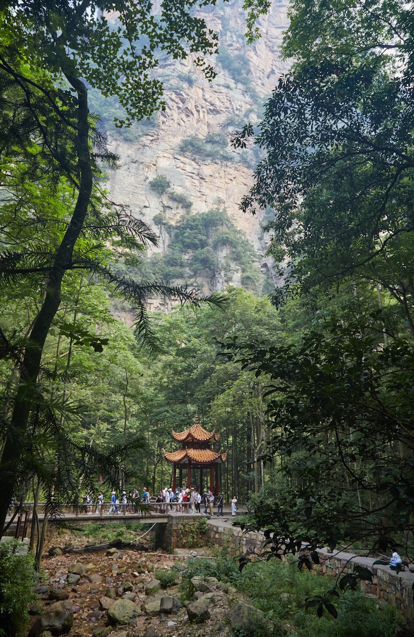 Zhangjiajie National Park Golden Whip Stream