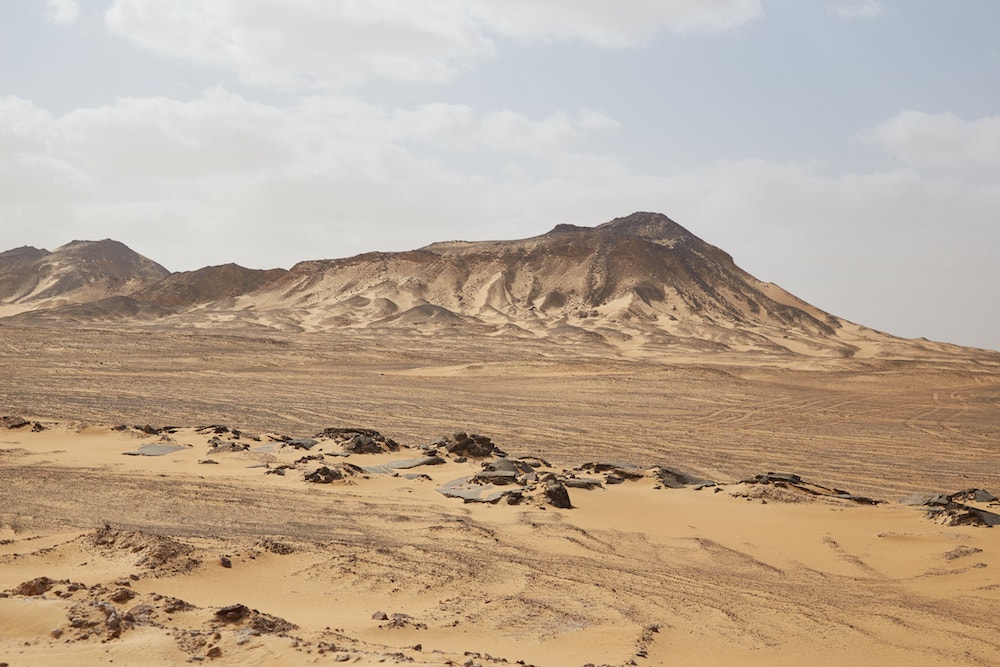 Black Desert Egypt