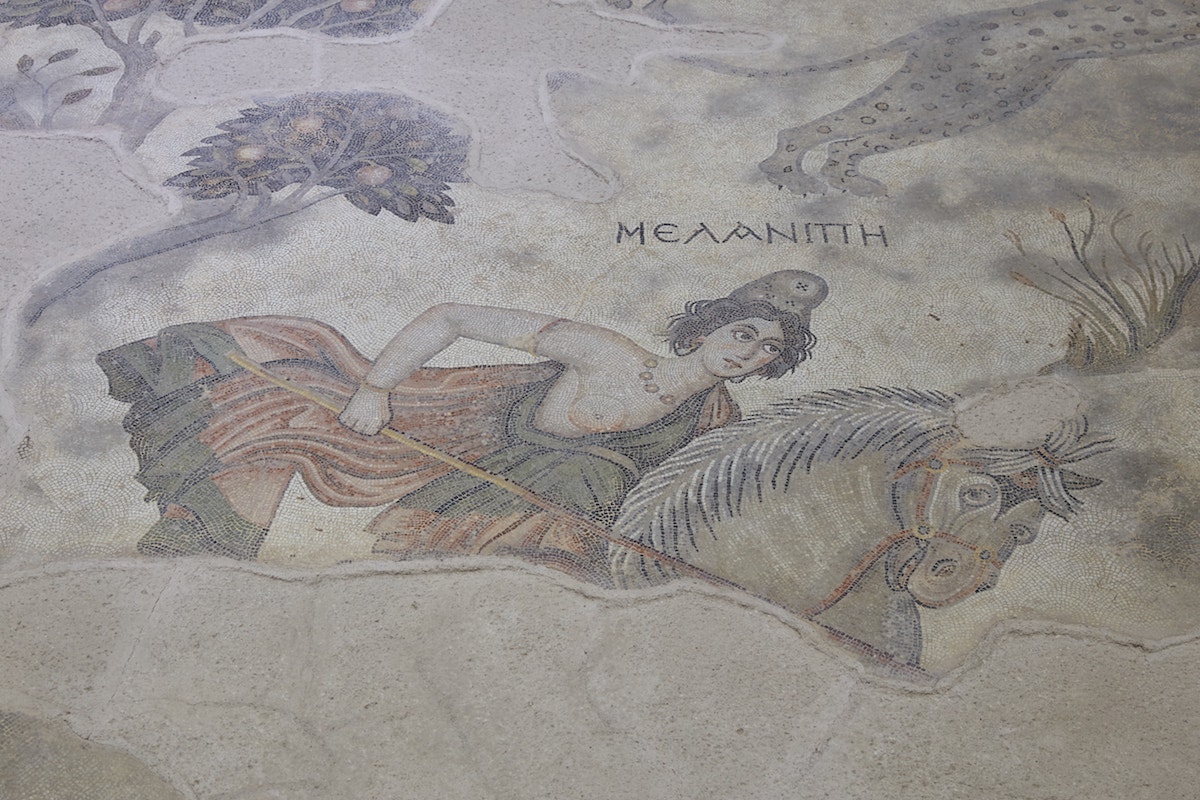 Haleplibahçe Mosaic Museum