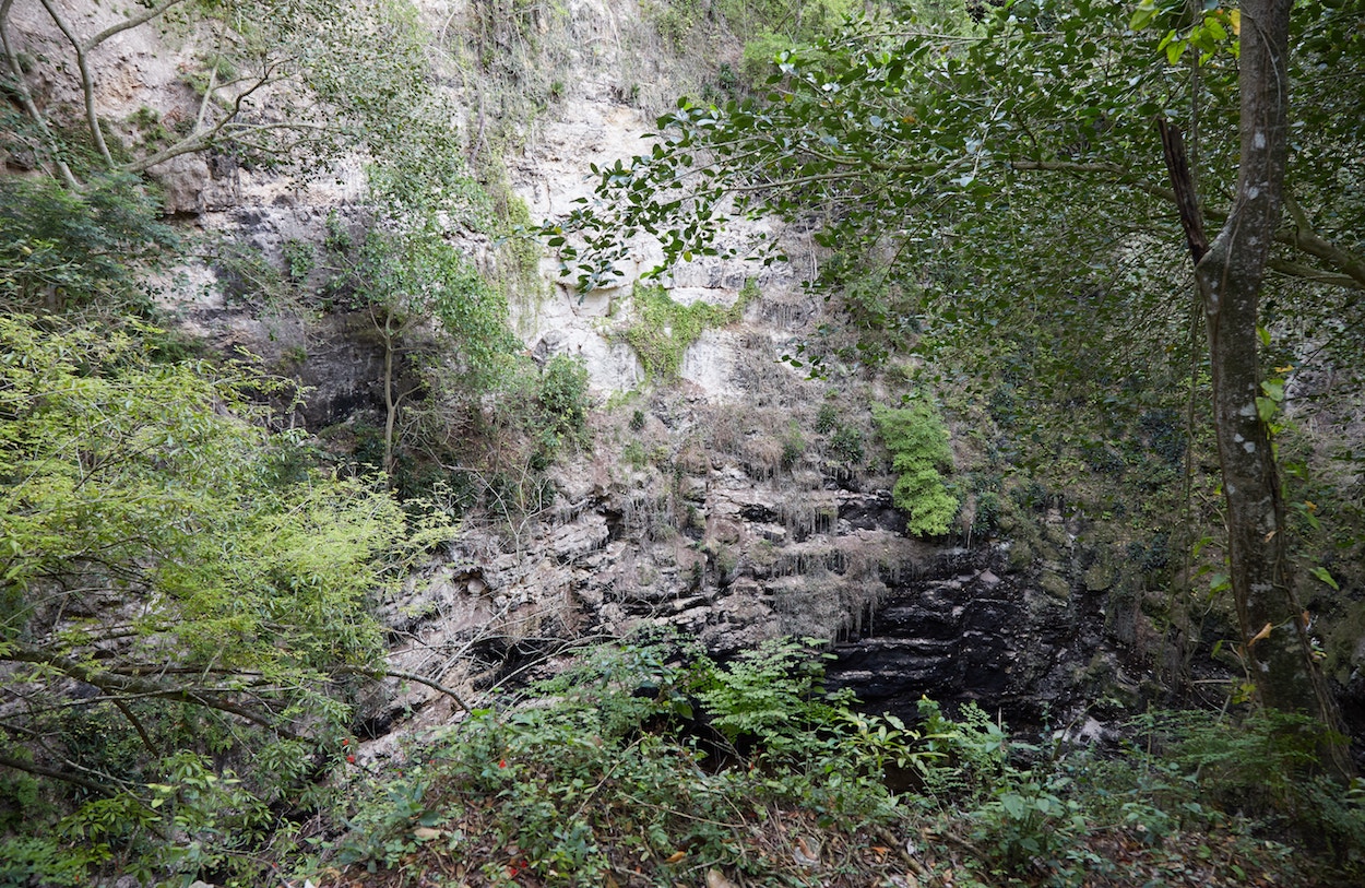 Calakmul Bat Cave