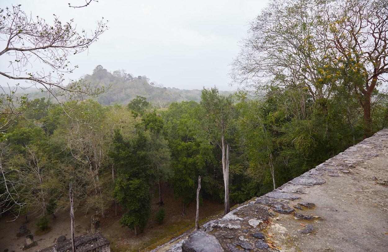 Visiting the Calakmul Biosphere Reserve
