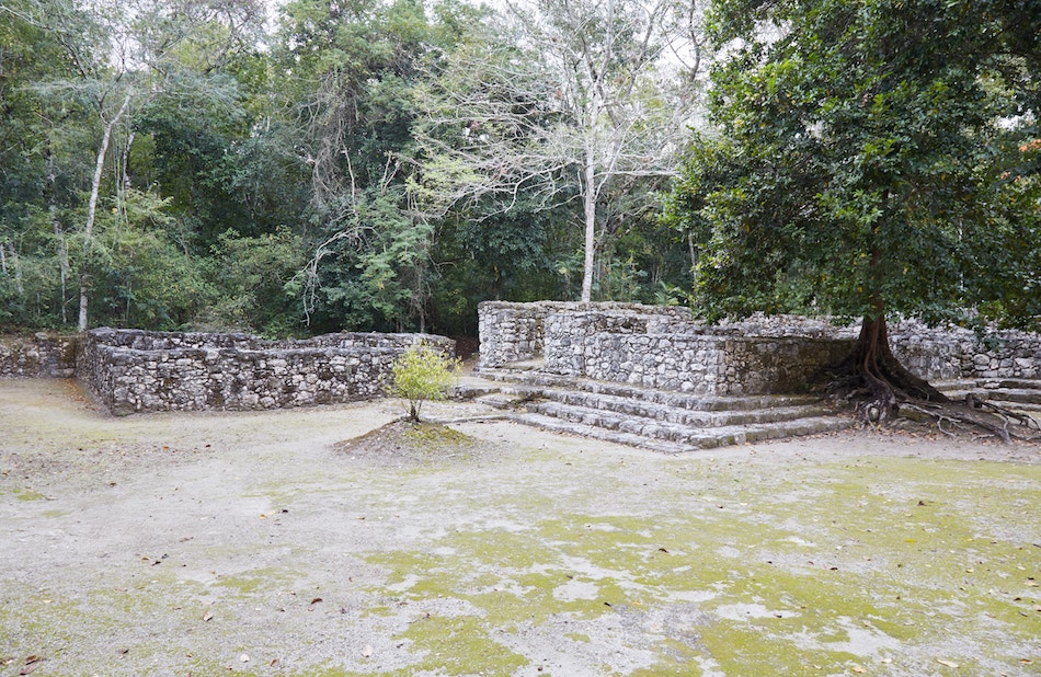 Visiting Calakmul Biosphere Reserve