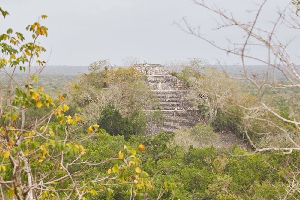 Visiting the Calakmul Biosphere Reserve