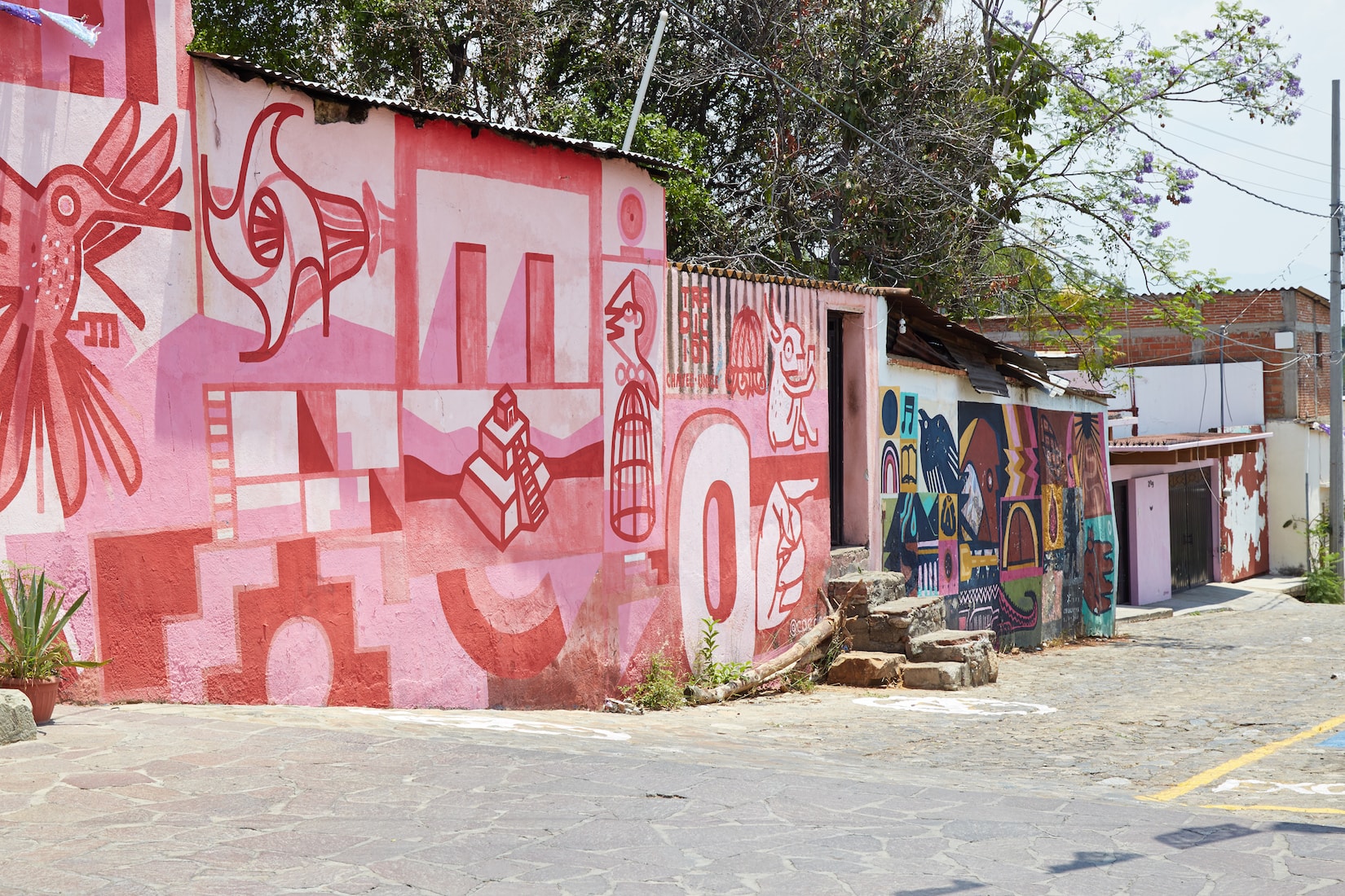 Oaxaca Street Art Guide