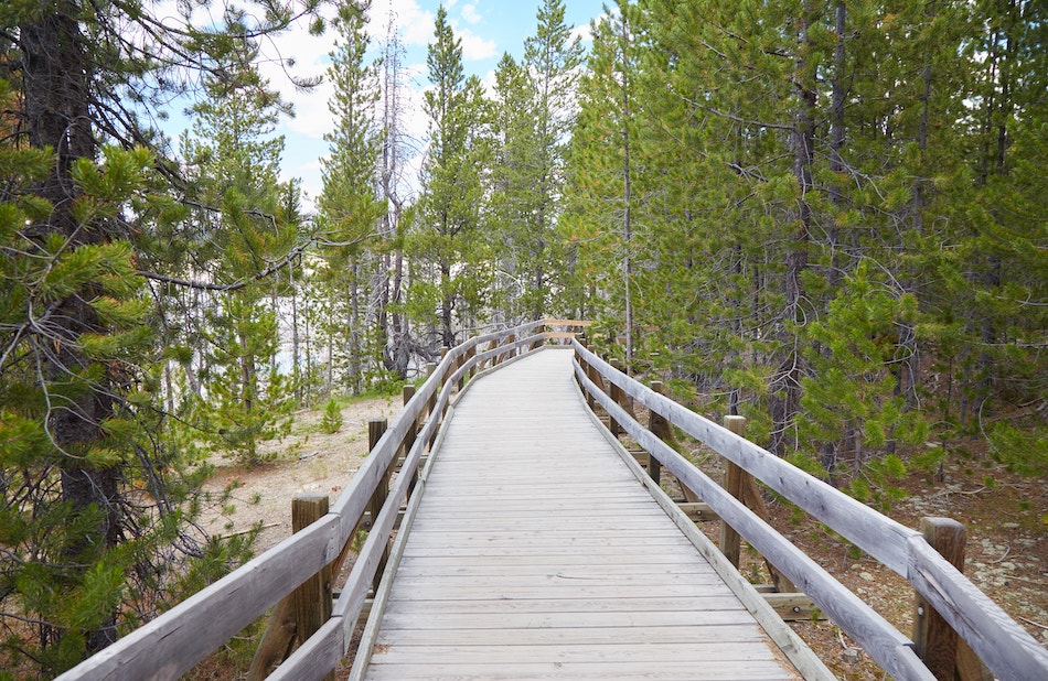 Norris Geyser Basin Yellowstone