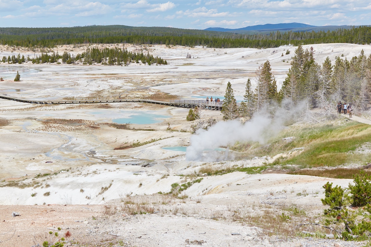 Norris Geyser Basin Yellowstone