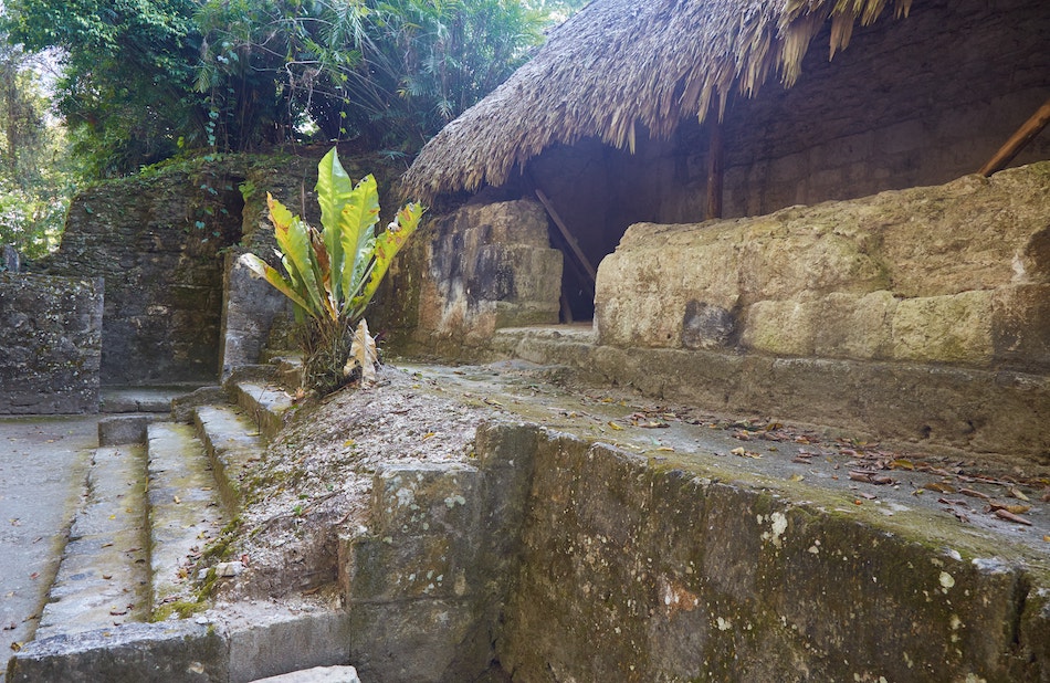 Yaxha Sunset Tour