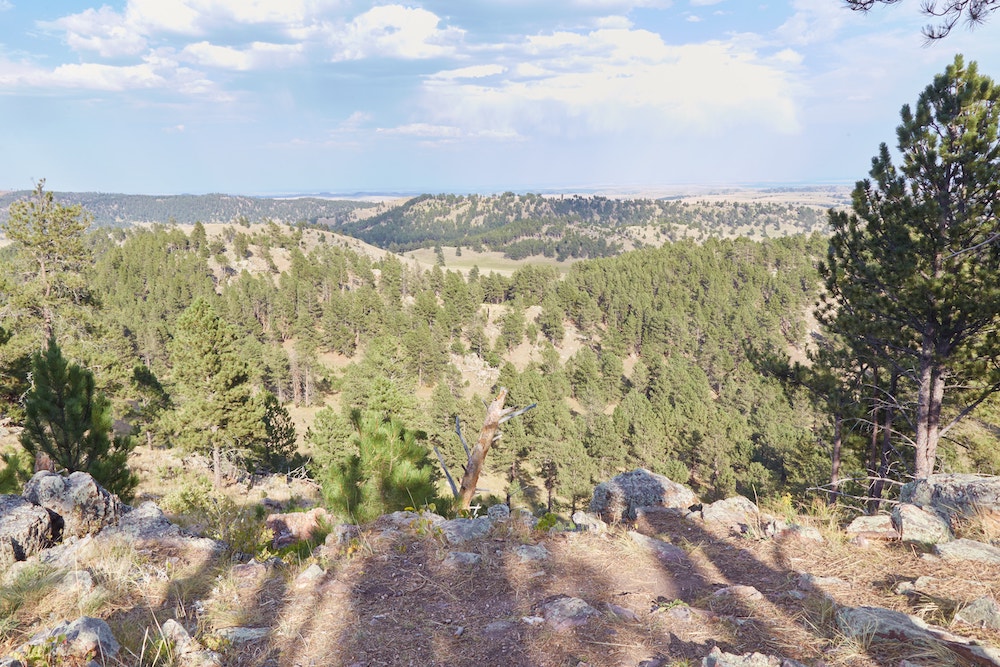 Wind Cave Lookout Point Trail Centennial Trail Loop