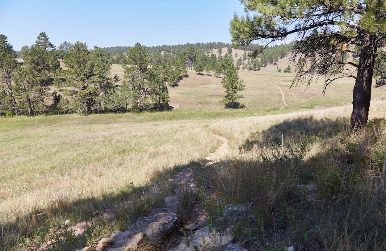 Wind Cave Lookout Point Trail Centennial Loop